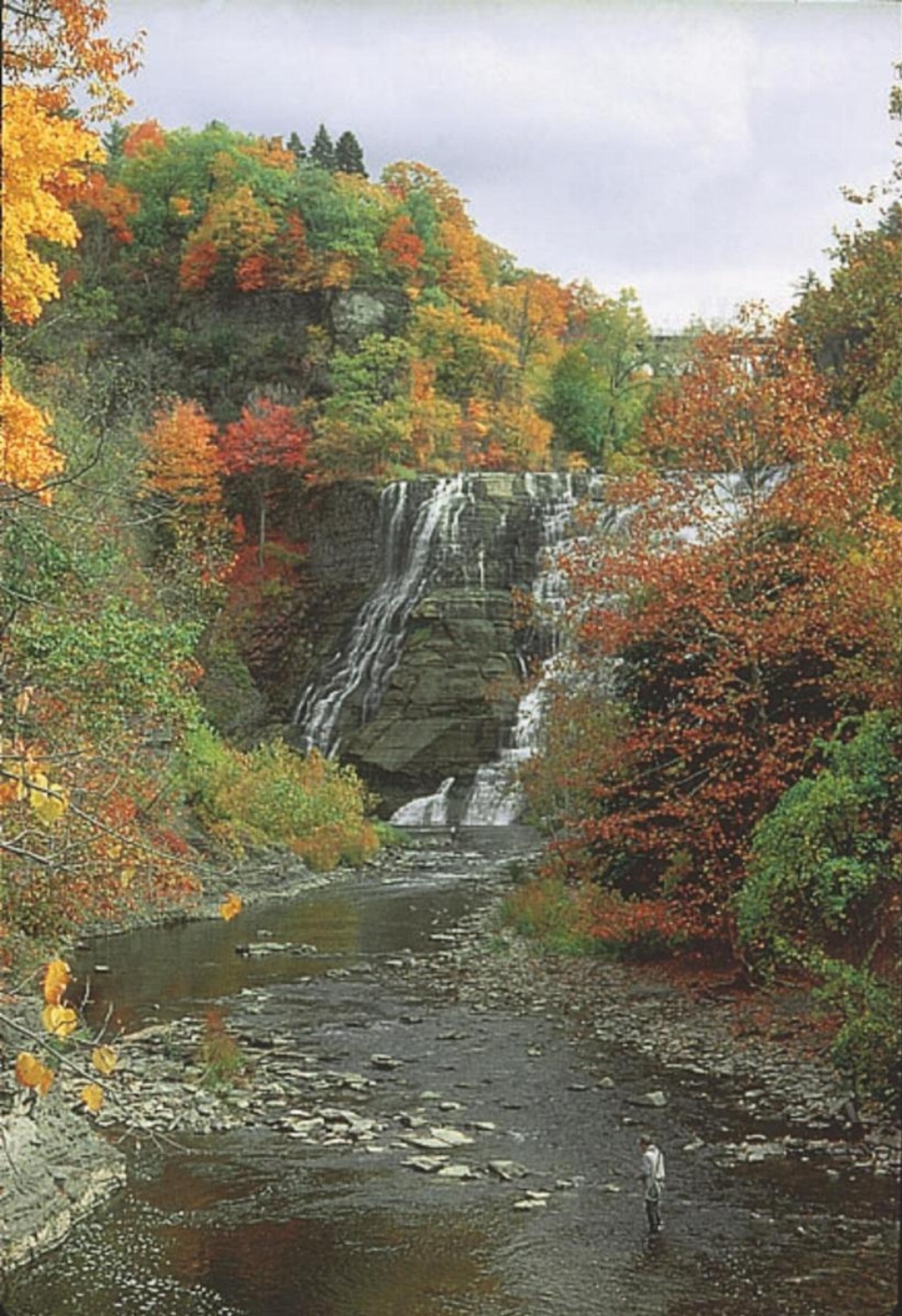 Meadow Court Inn - Ithaca Image 23
